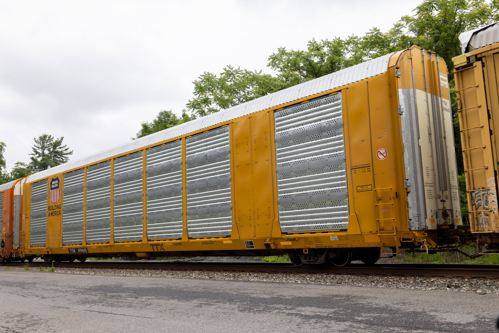 TTGX 699643