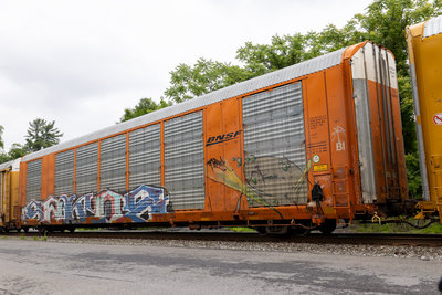 TTGX 694716