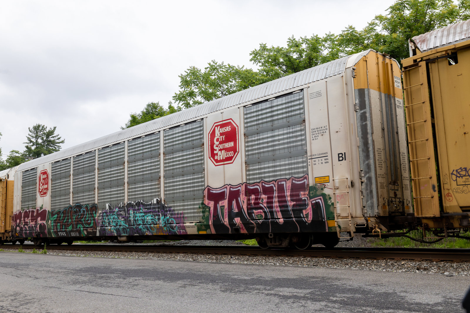 TTGX 697111