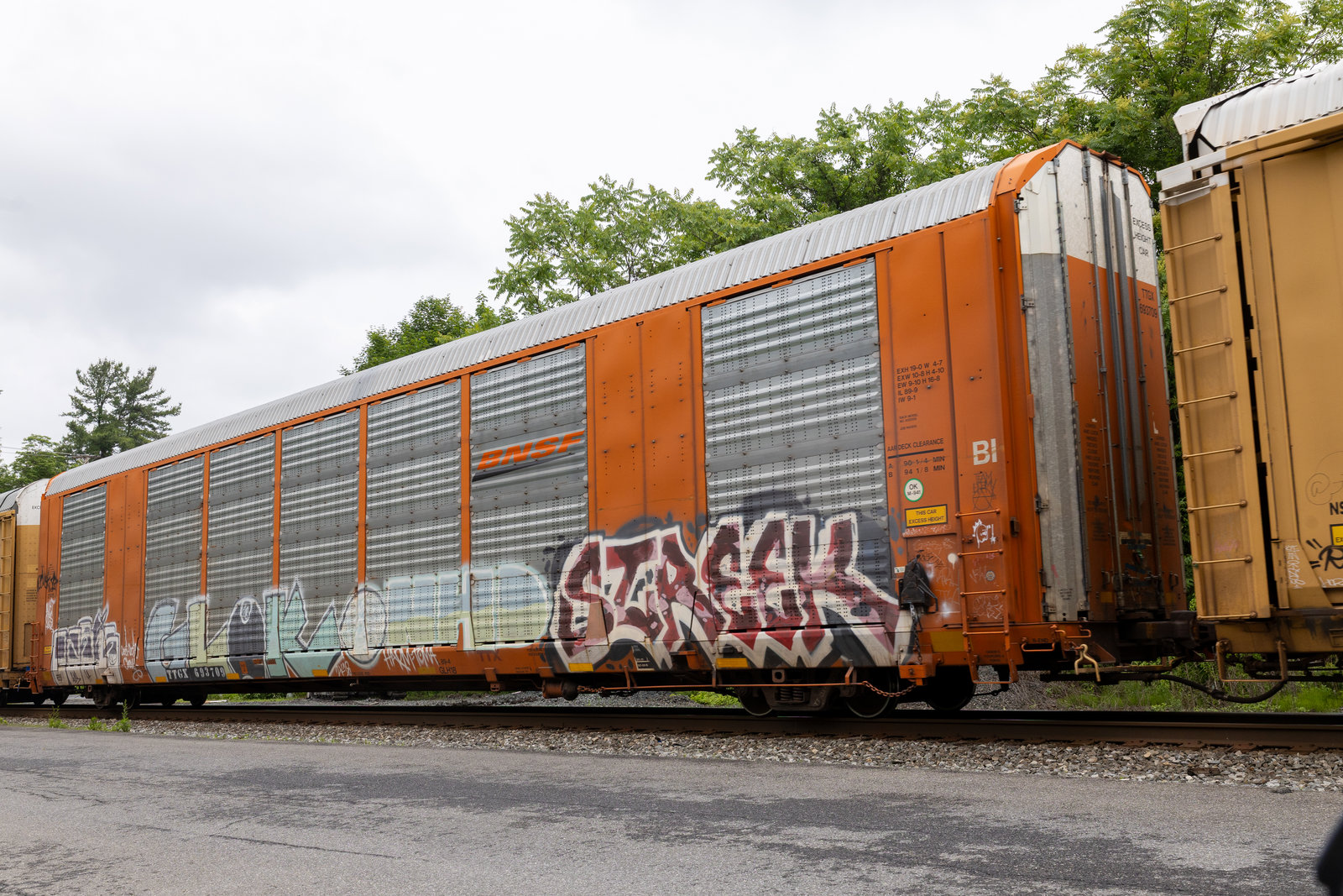 TTGX 693709