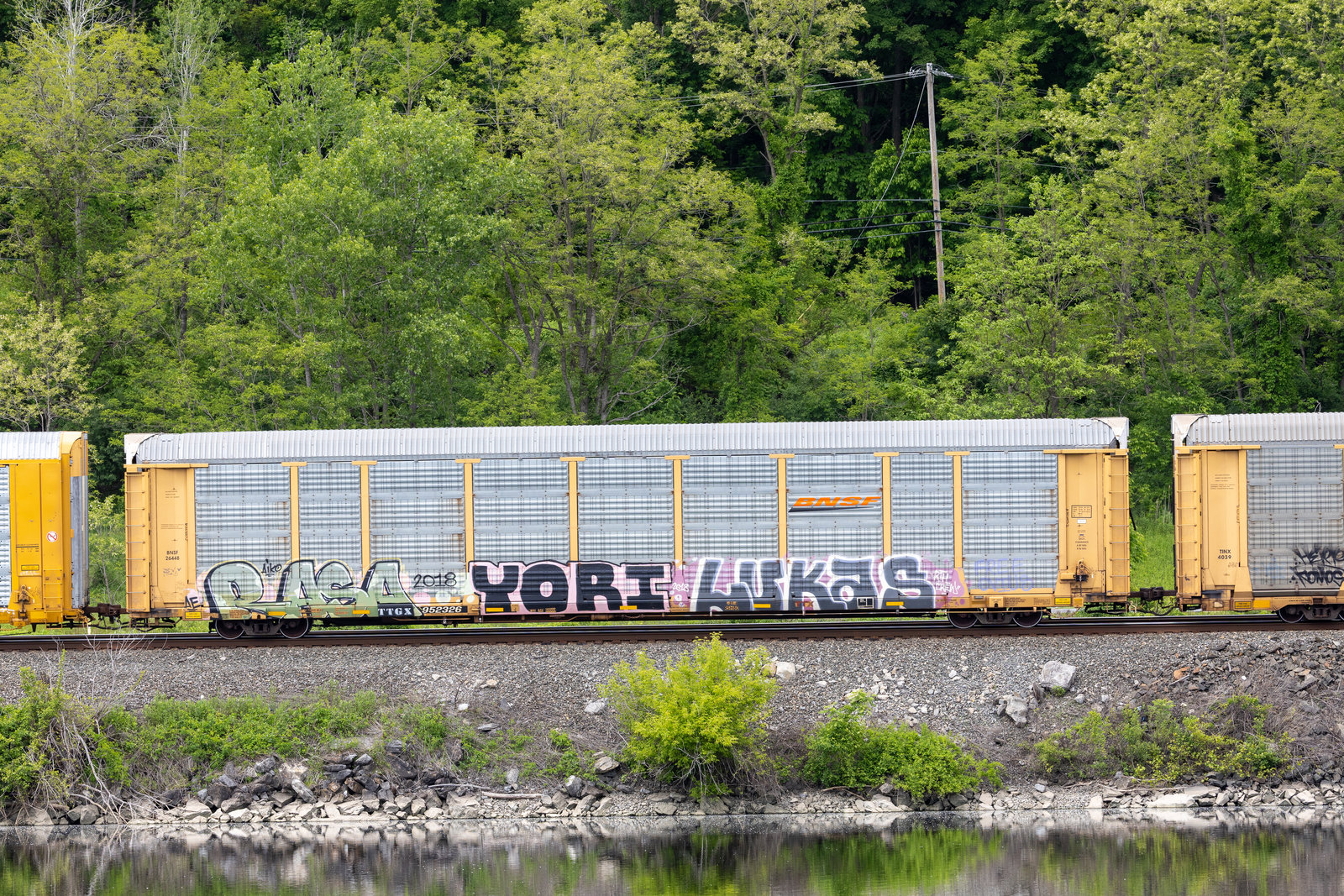 TTGX 952326
