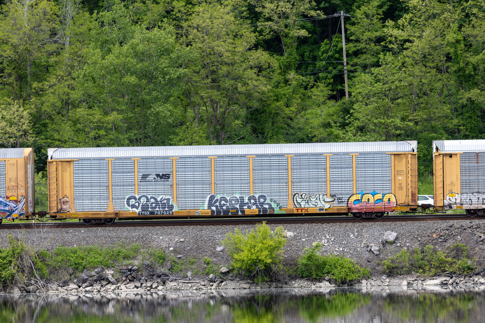 TTGX 707025