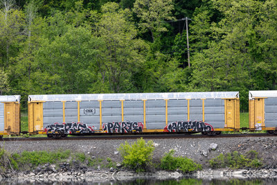 TTGX 971361