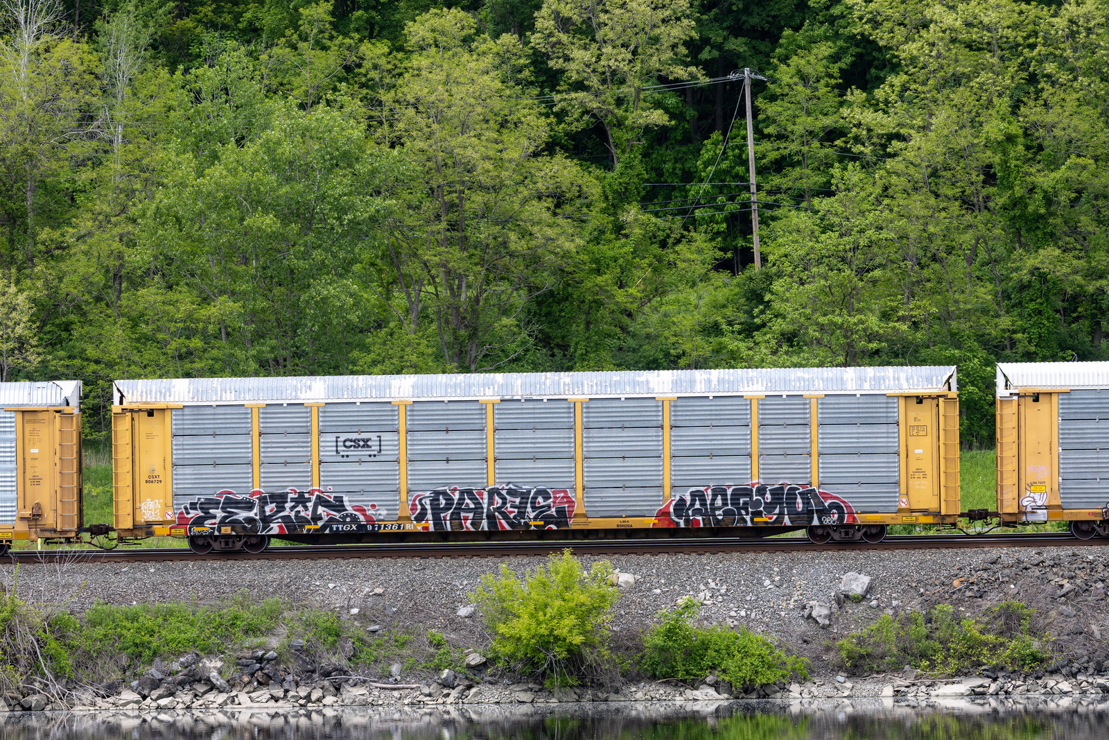 TTGX 971361