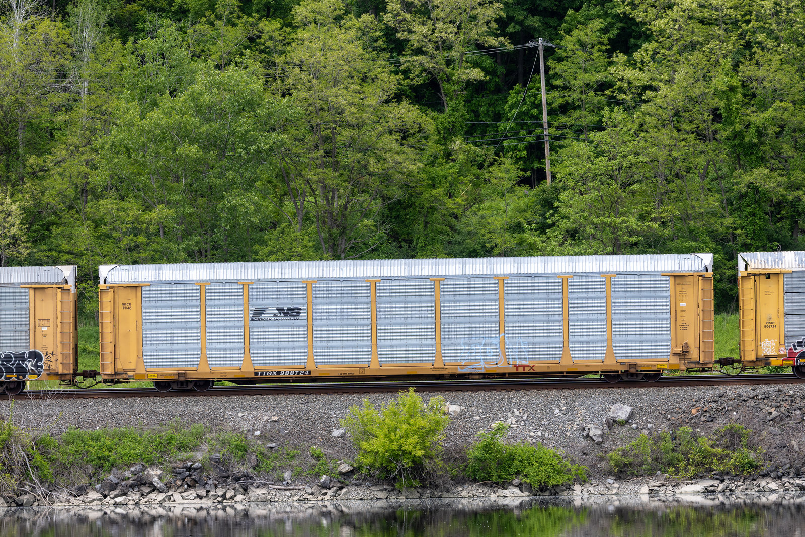 TTGX 988724