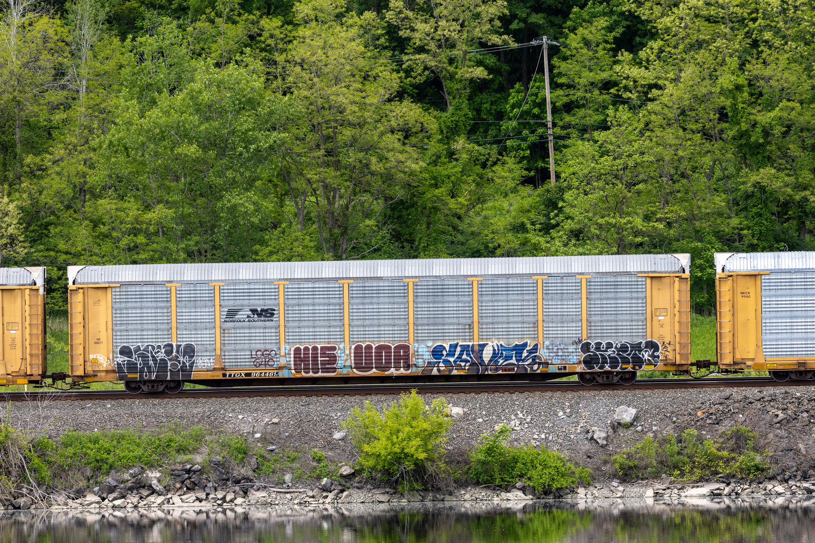 TTGX 964461