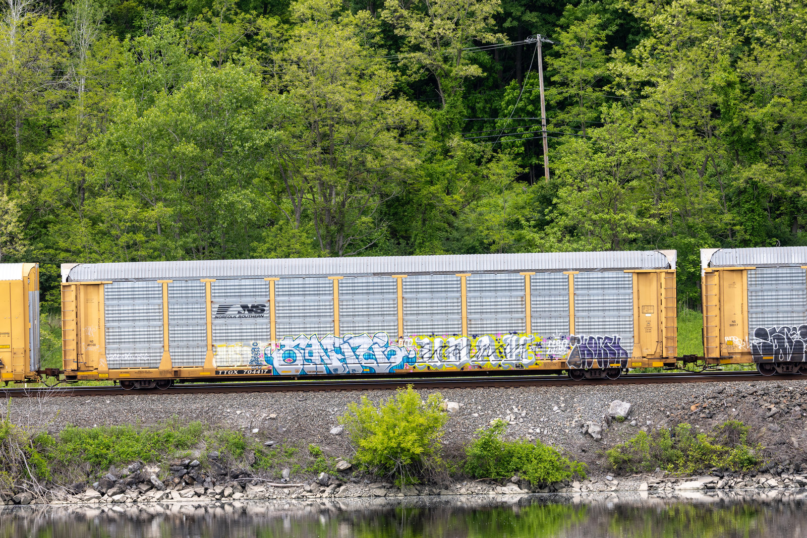 TTGX 704417