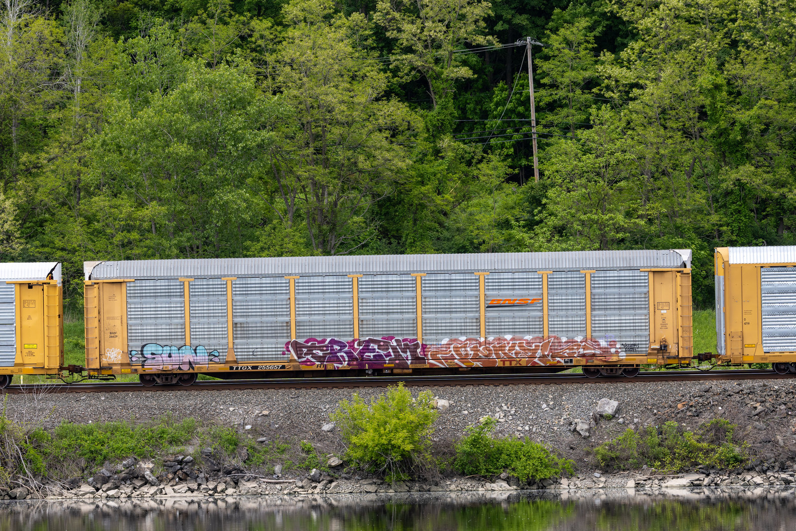 TTGX 255657