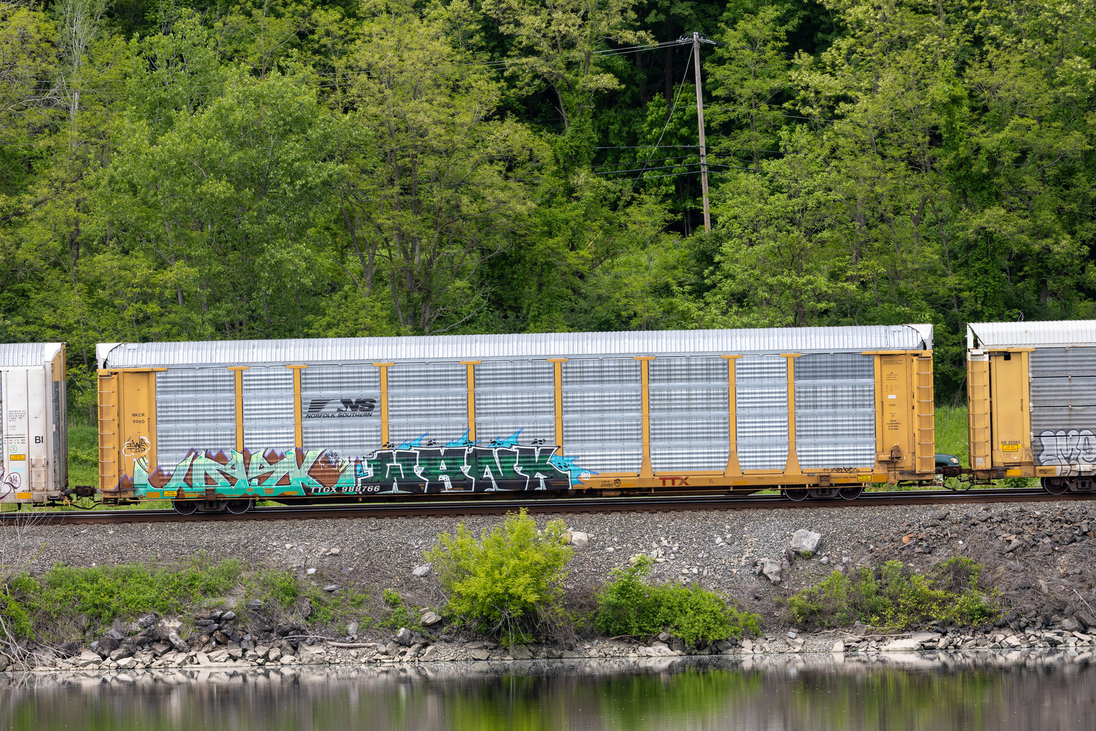 TTGX 988766