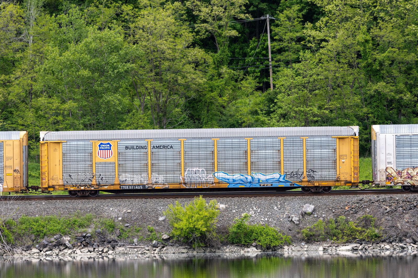 TTGX 971405