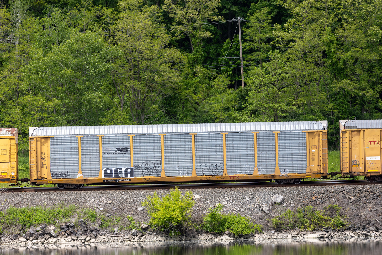 TTGX 707344