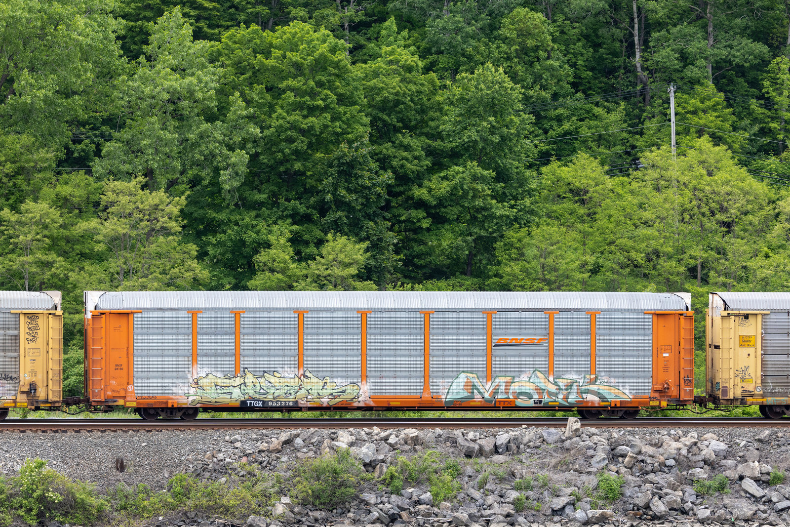 TTGX 953276
