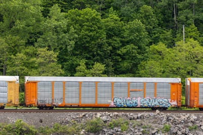 TTGX 953007