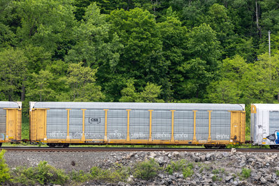 TTGX 953731
