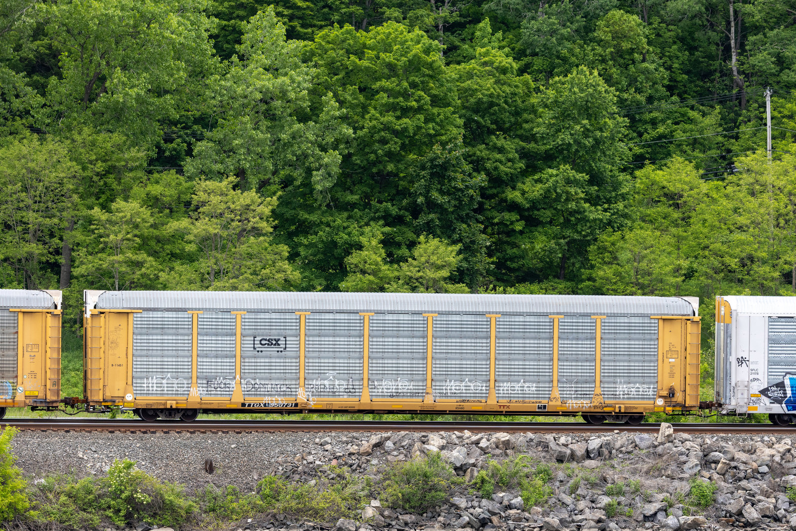 TTGX 953731