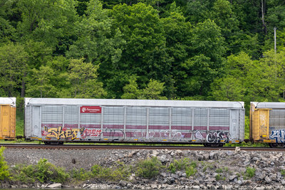 TTGX 705803