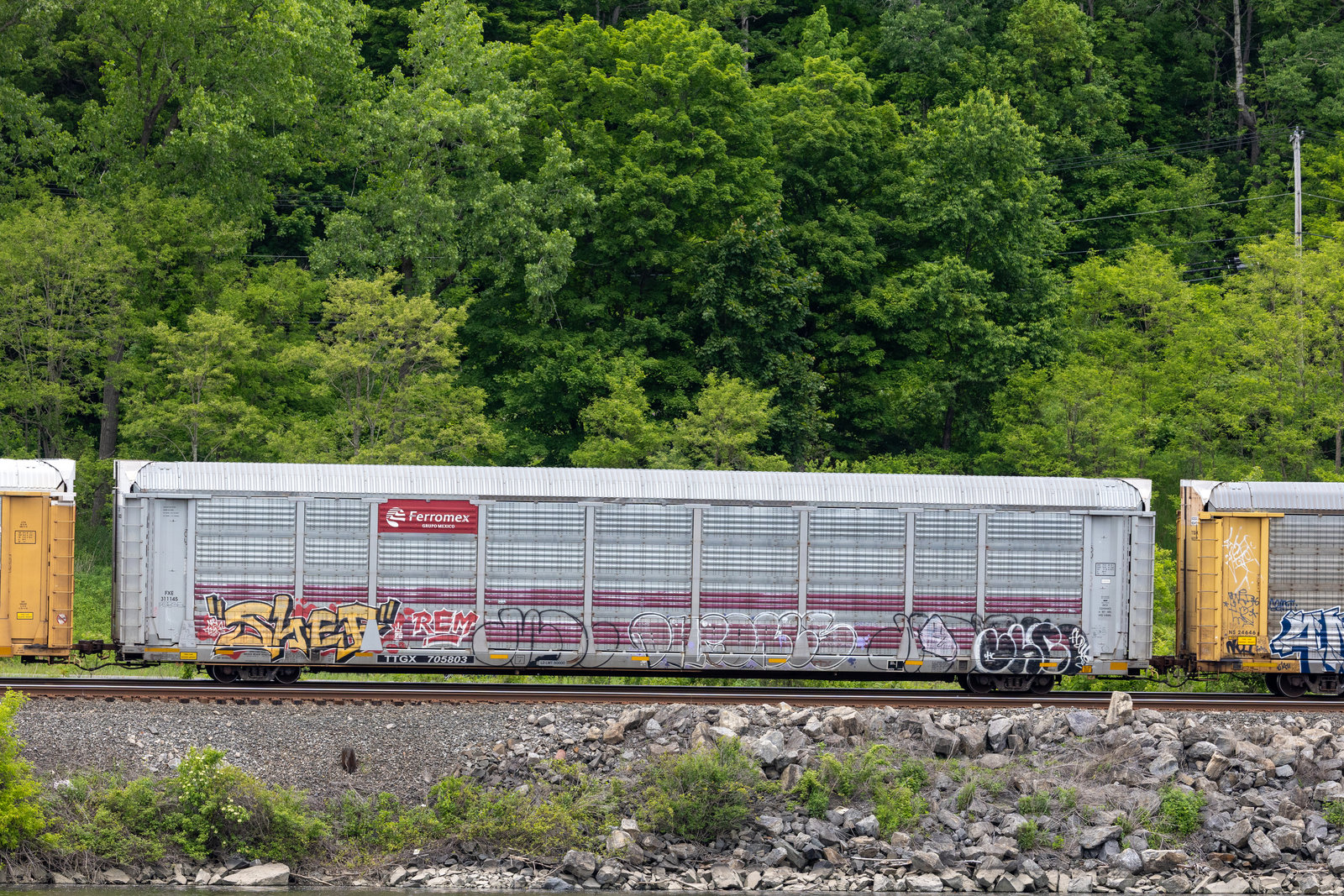 TTGX 705803
