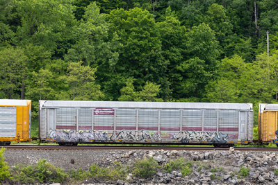 TTGX 705530