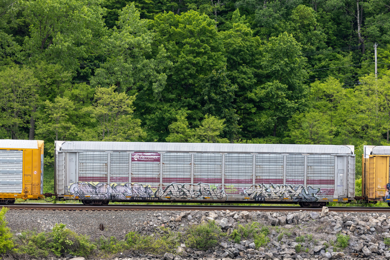 TTGX 705530