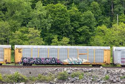 TTGX 941465