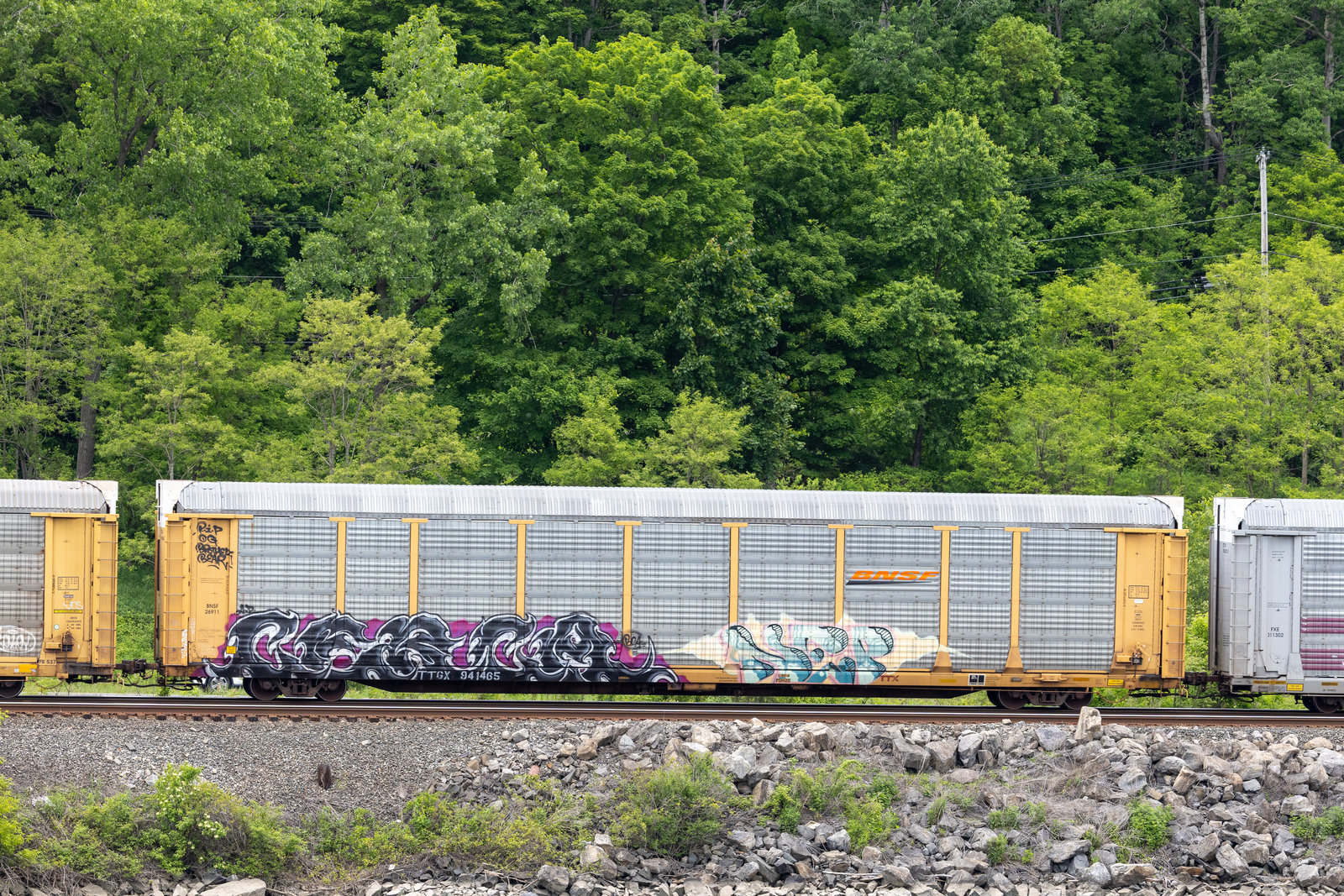 TTGX 941465