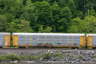 TTGX 941361