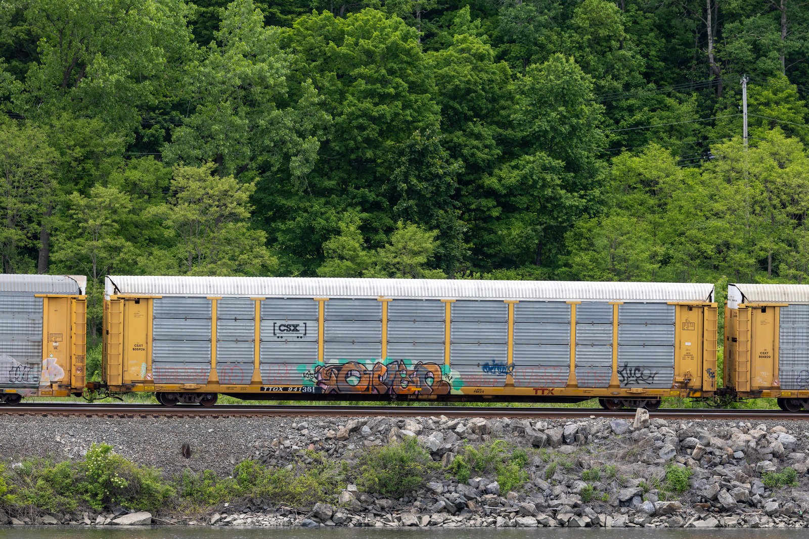 TTGX 941361