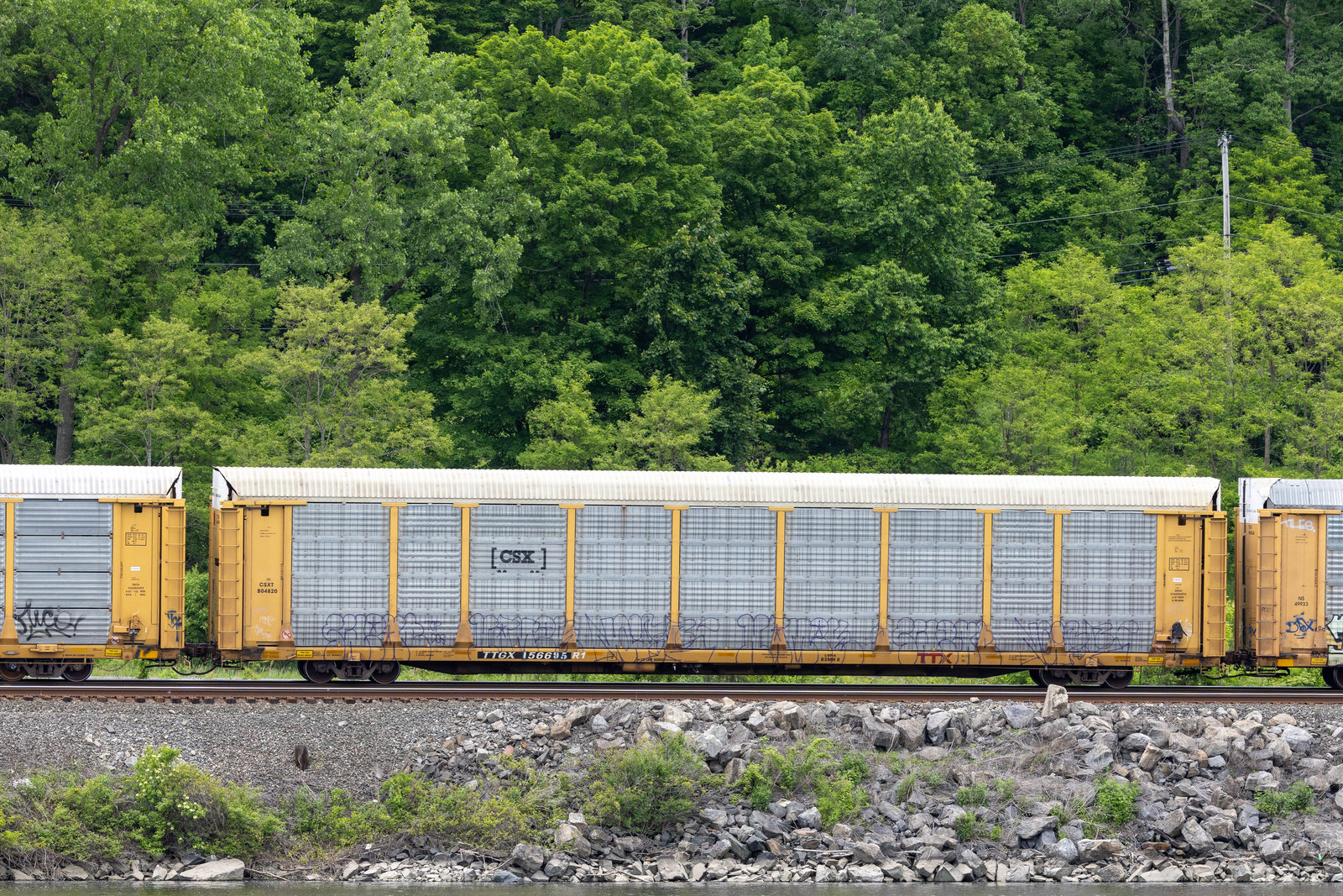 TTGX 156695