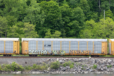 TTGX 964834