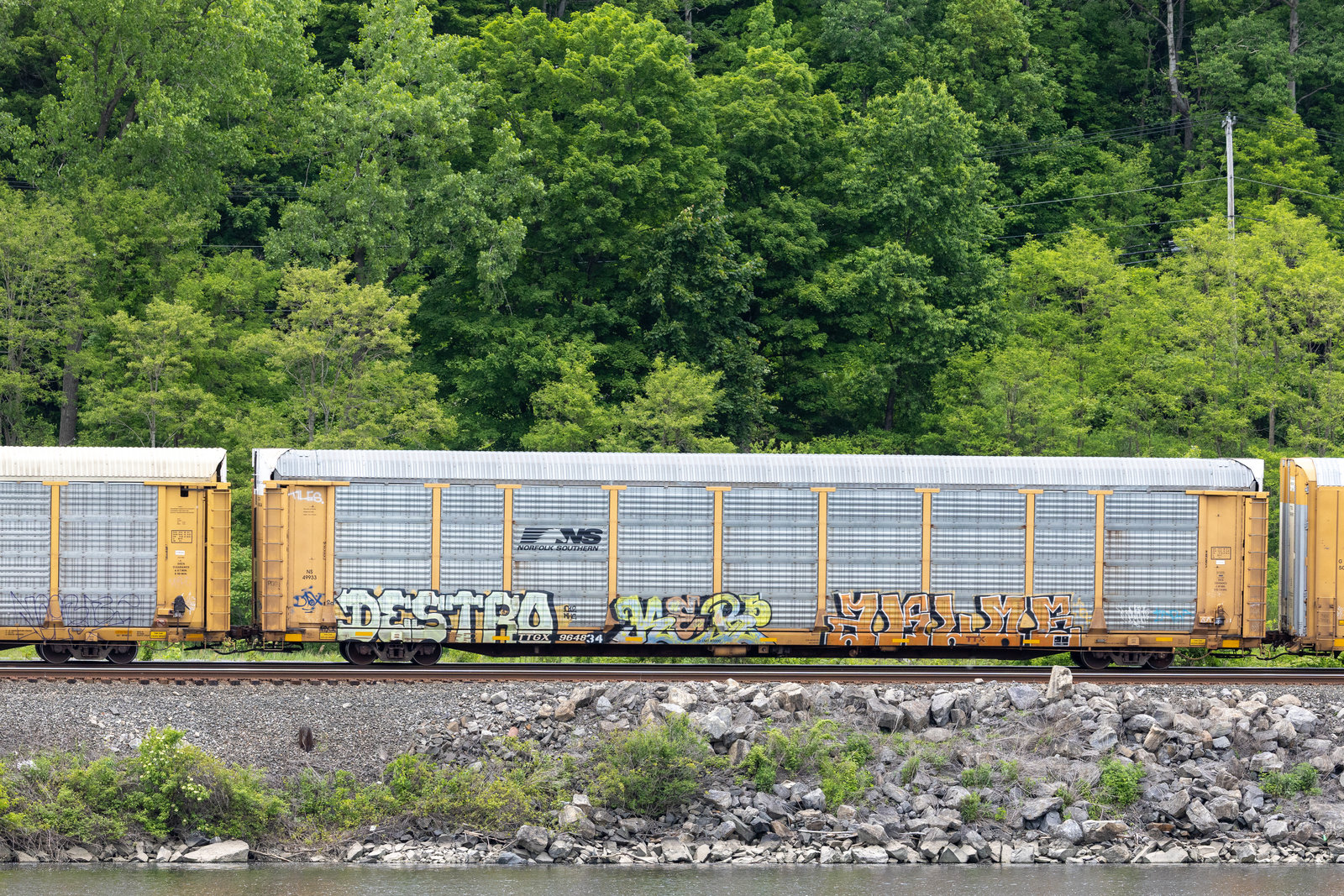 TTGX 964834