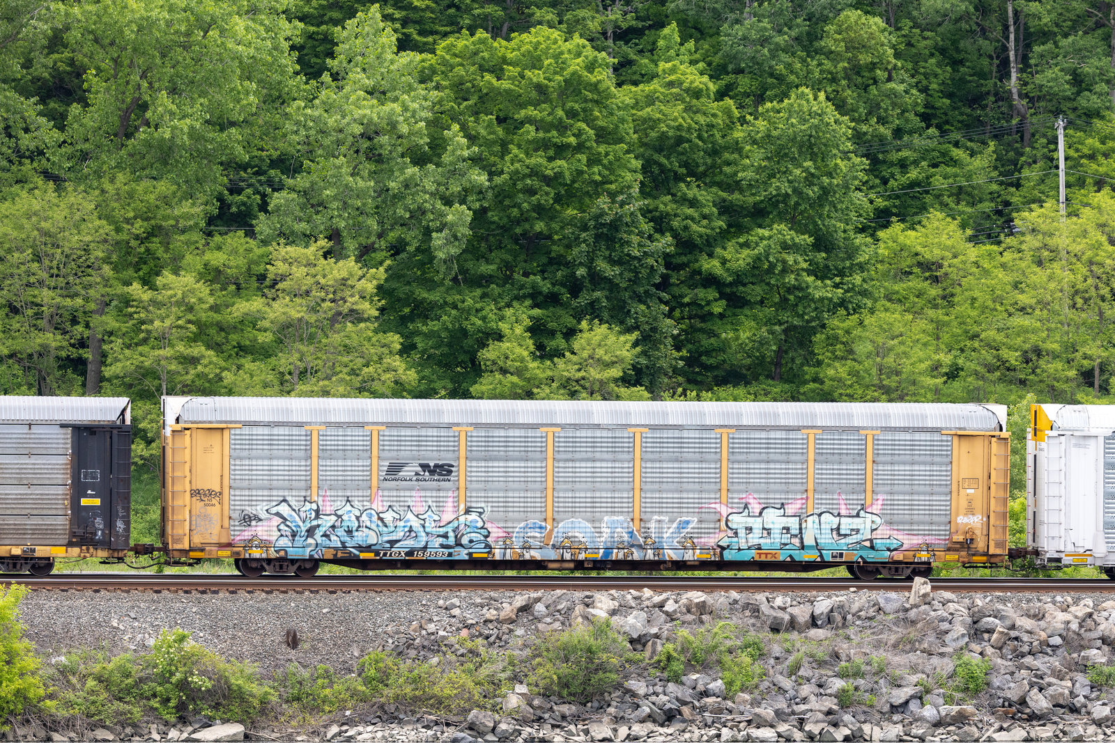 TTGX 159593