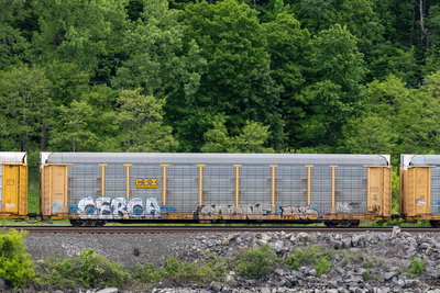 TTGX 981776