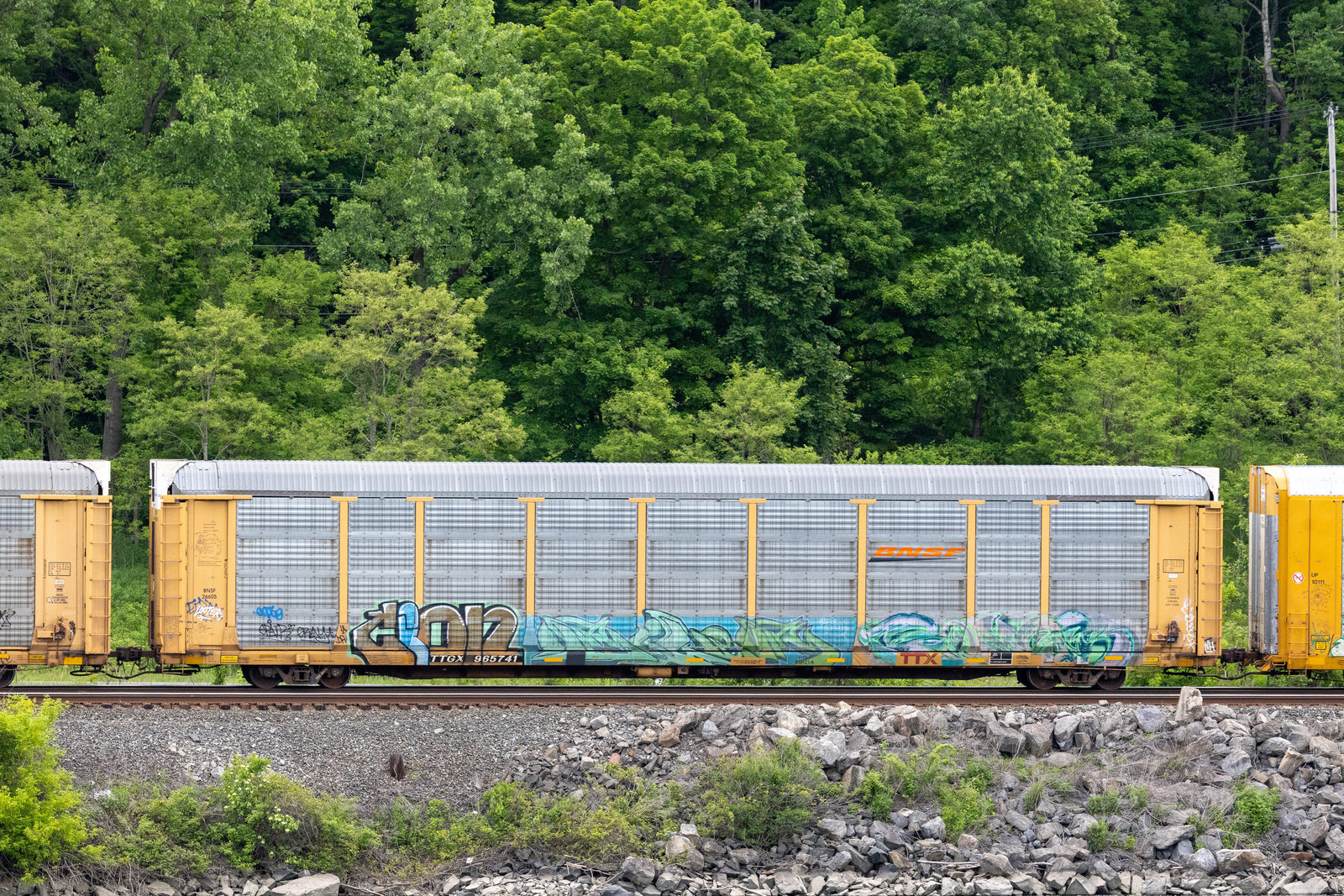 TTGX 965741
