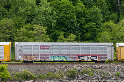 TTGX 953583