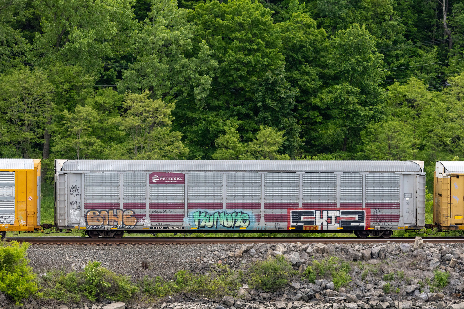 TTGX 953583