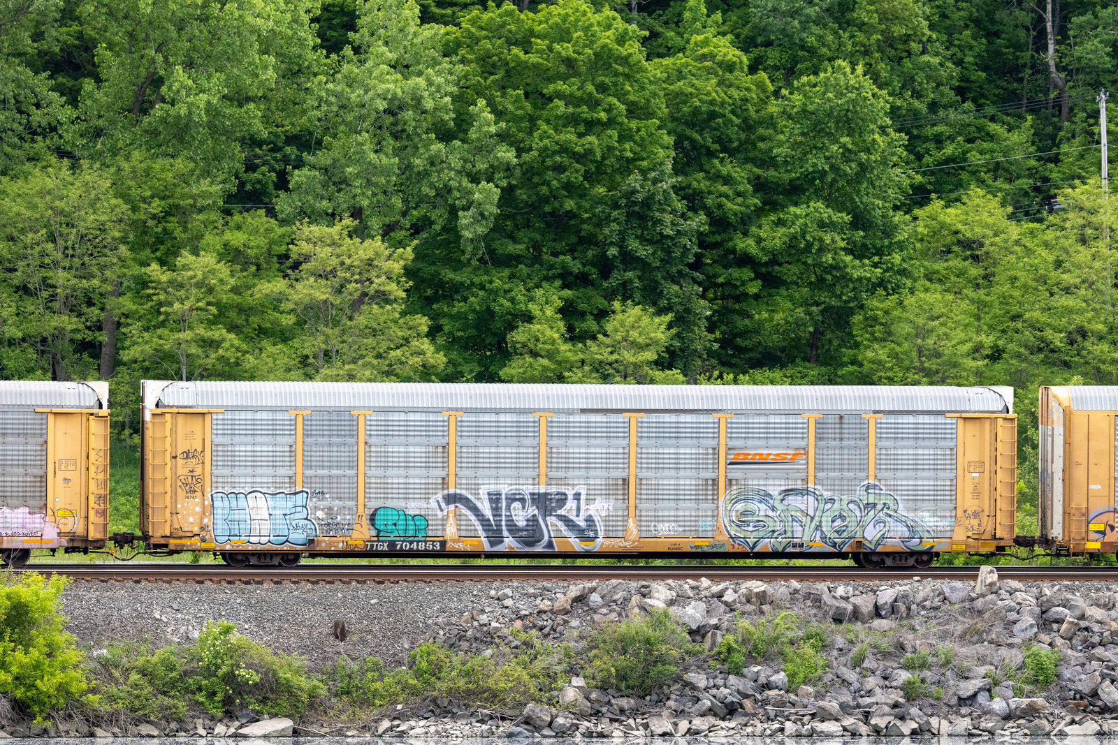 TTGX 704853