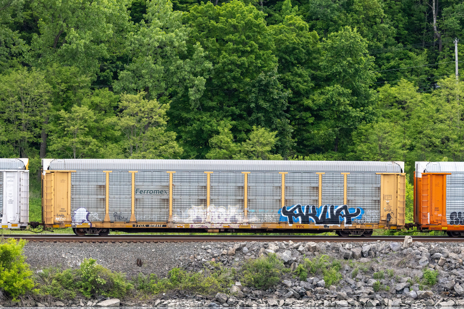 TTGX 978414