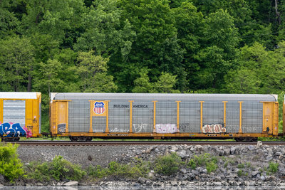 TTGX 979223