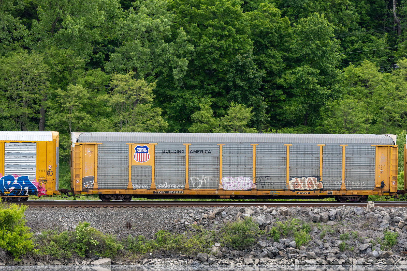 TTGX 979223