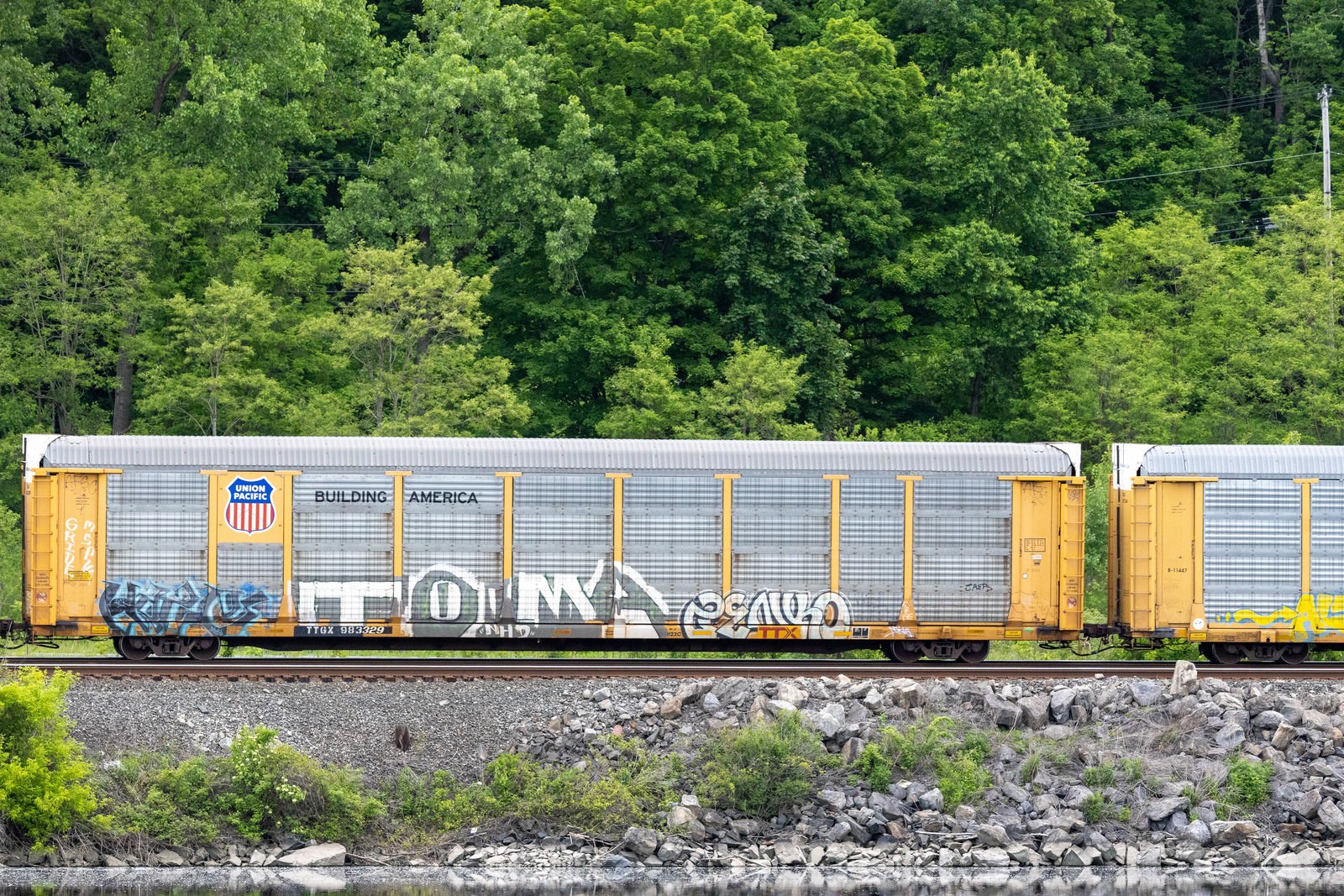 TTGX 983329