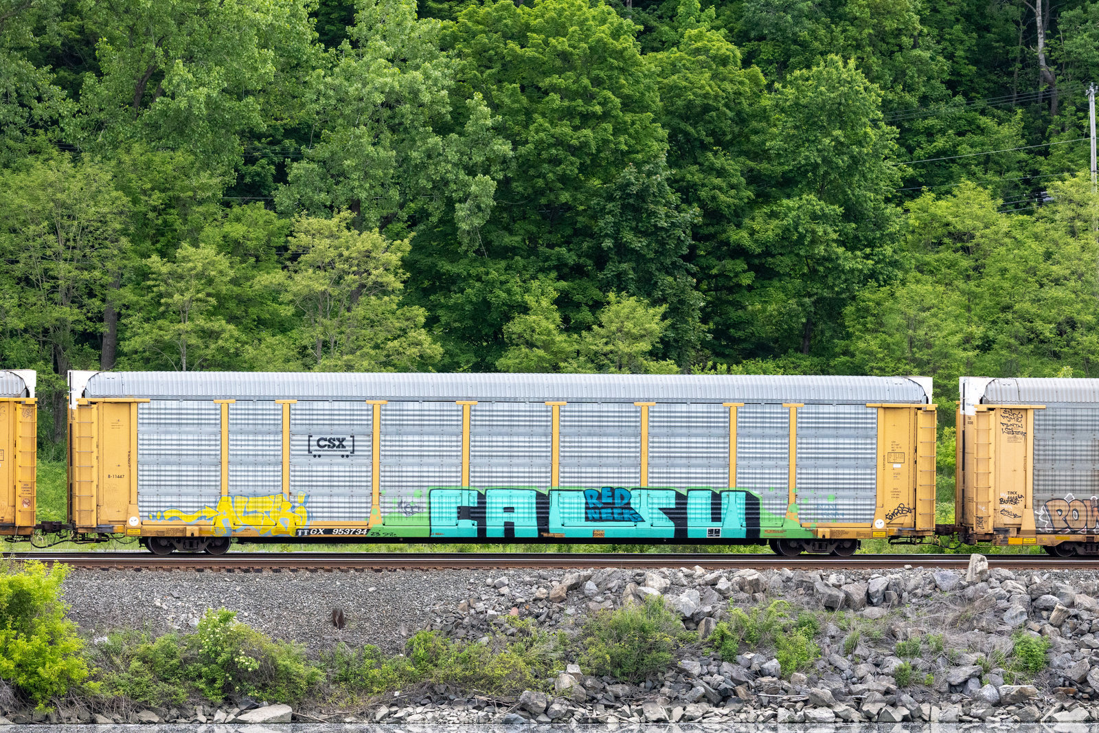 TTGX 953734