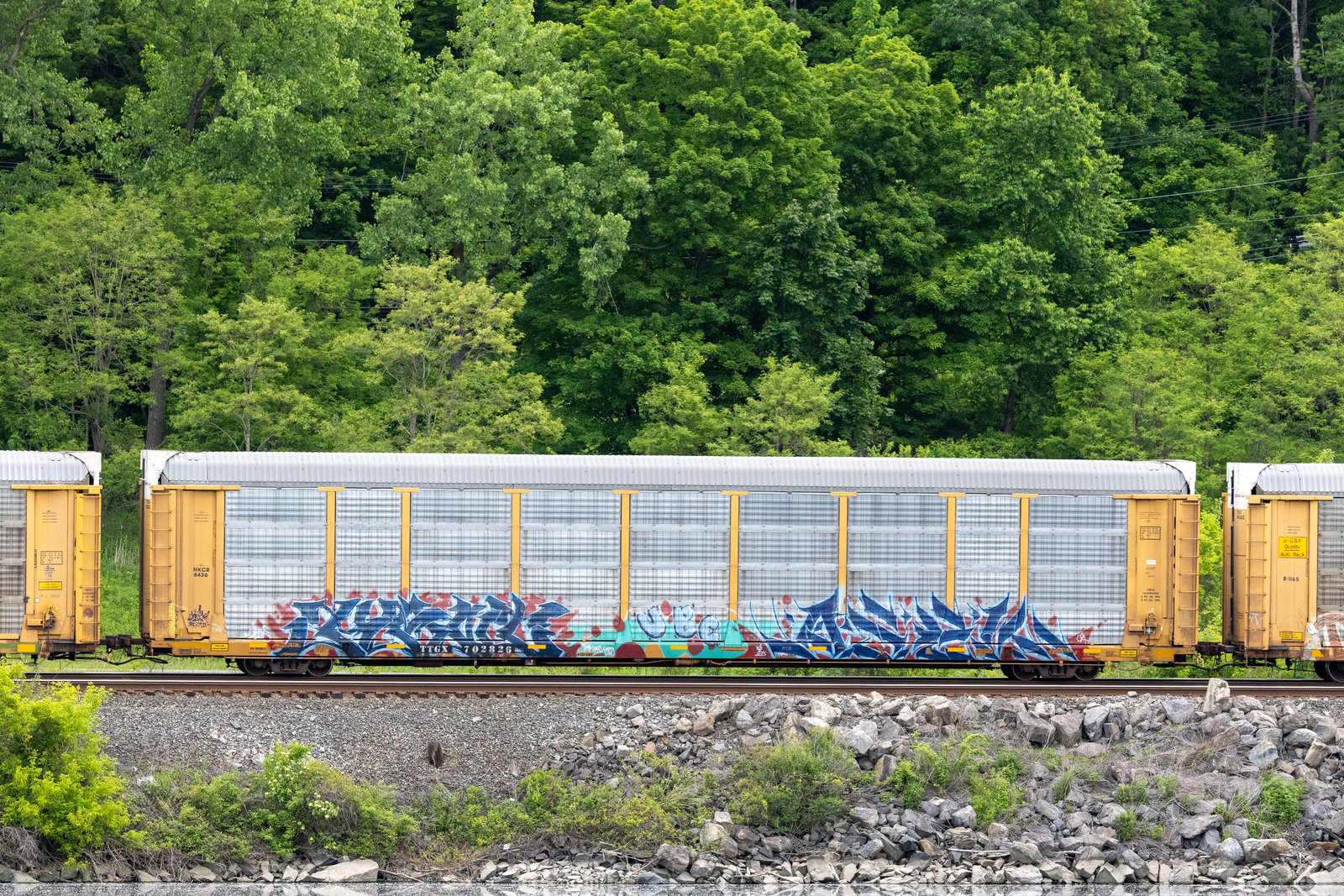 TTGX 702826