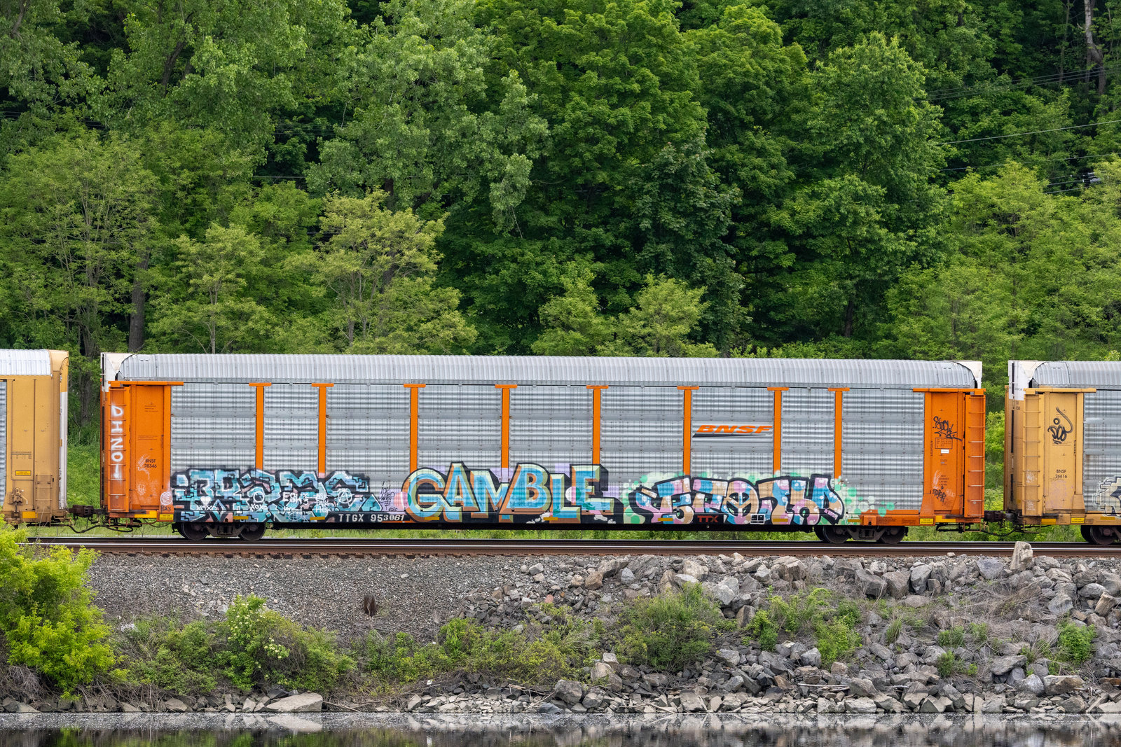 TTGX 953061