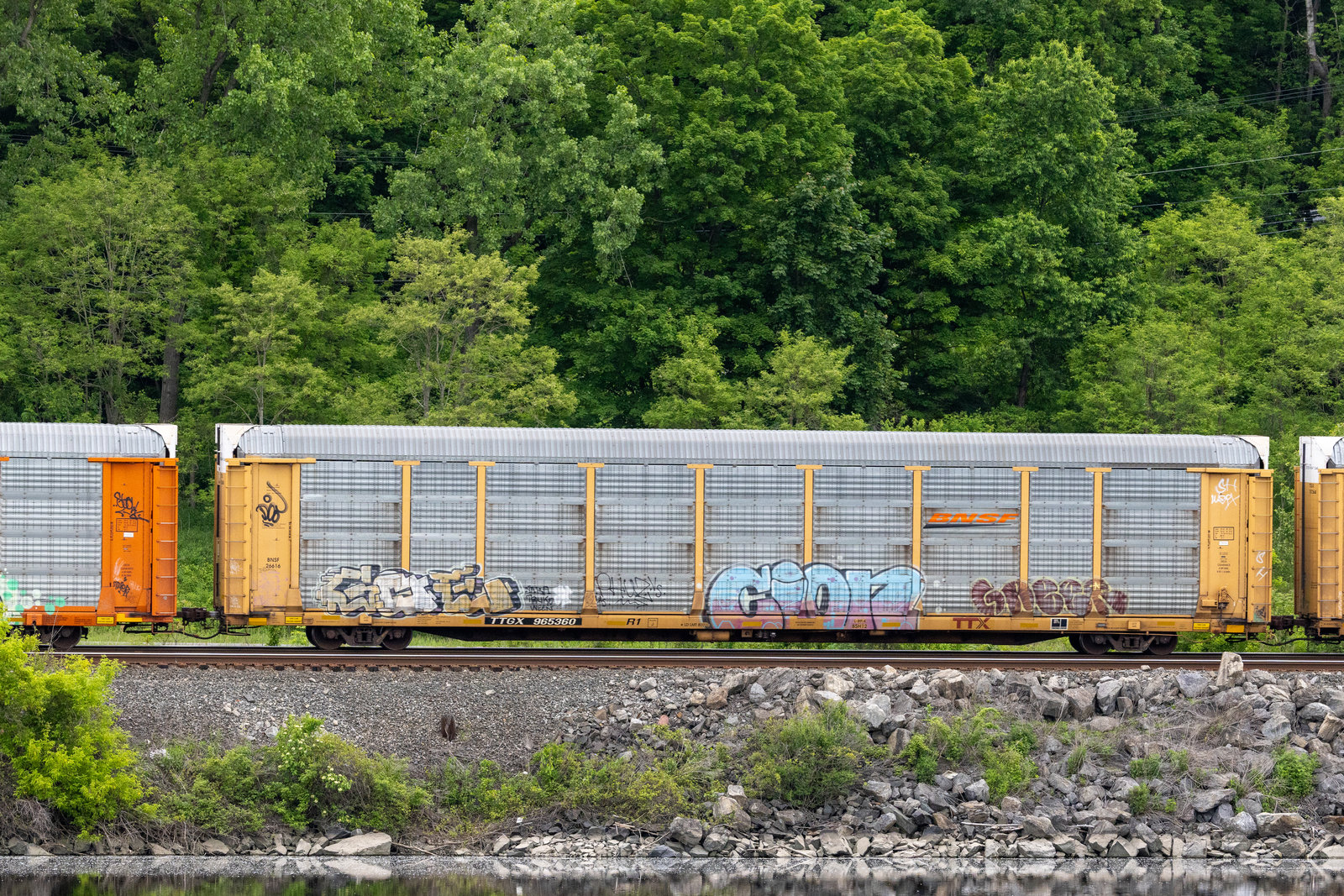 TTGX 965360