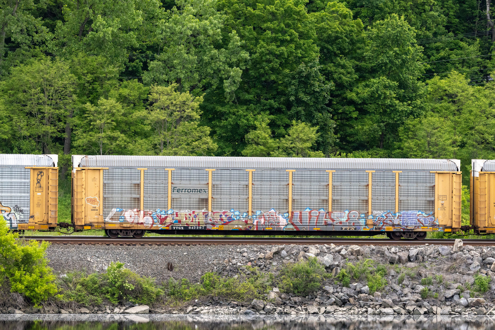 TTGX 942297
