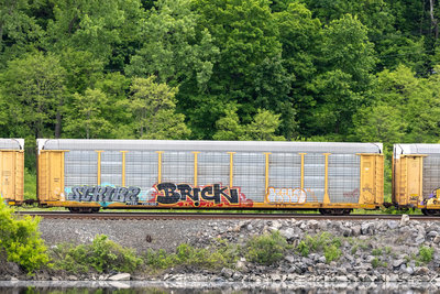TTGX 702360