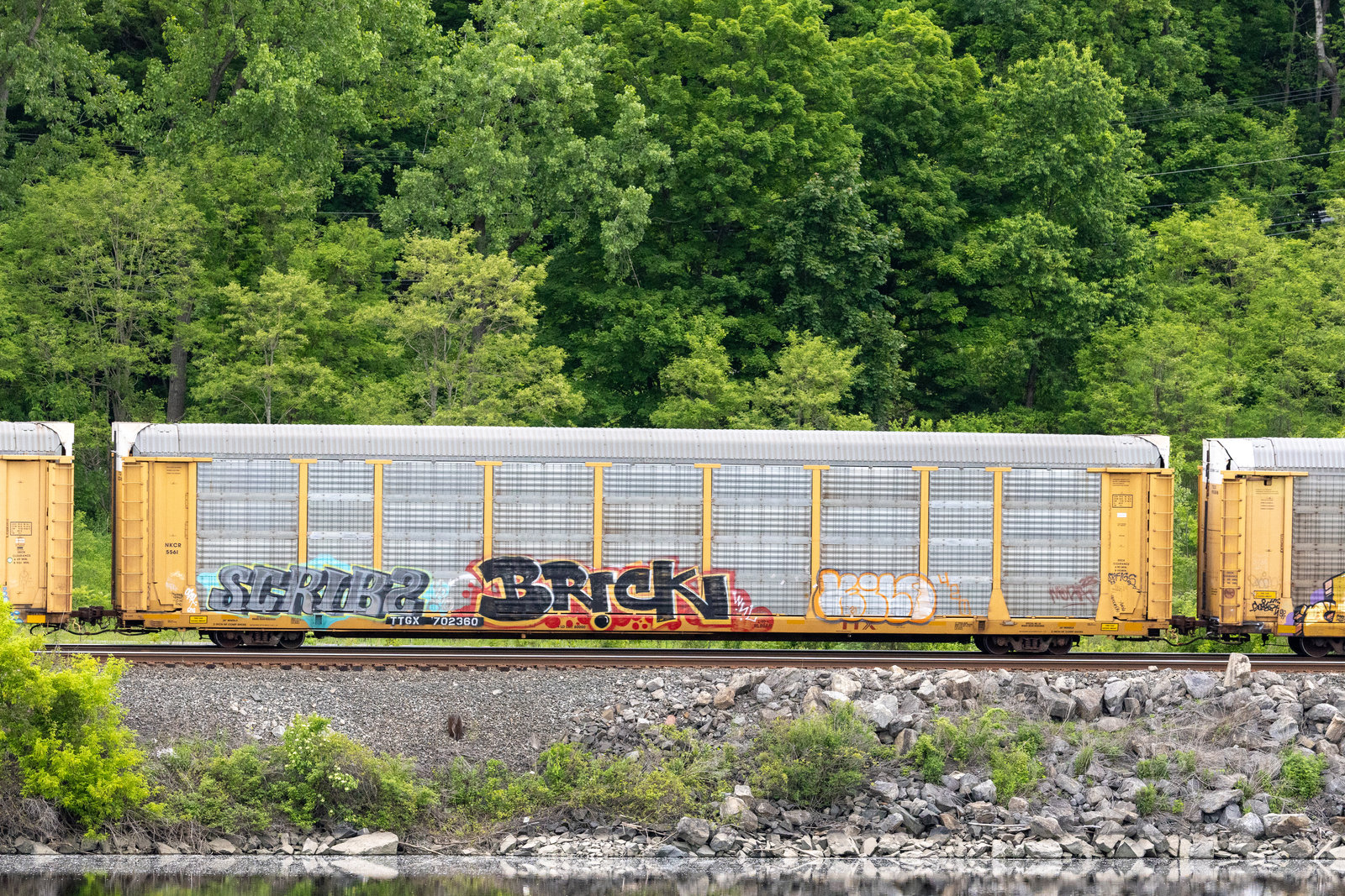 TTGX 702360
