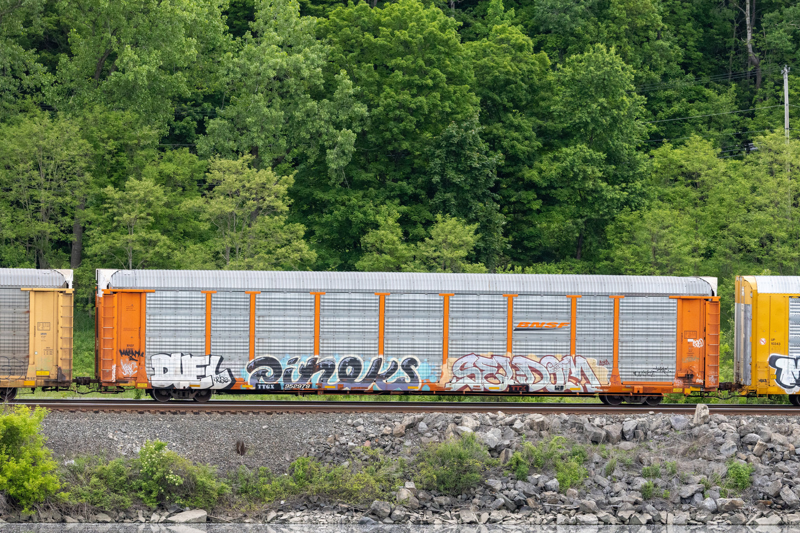 TTGX 952979
