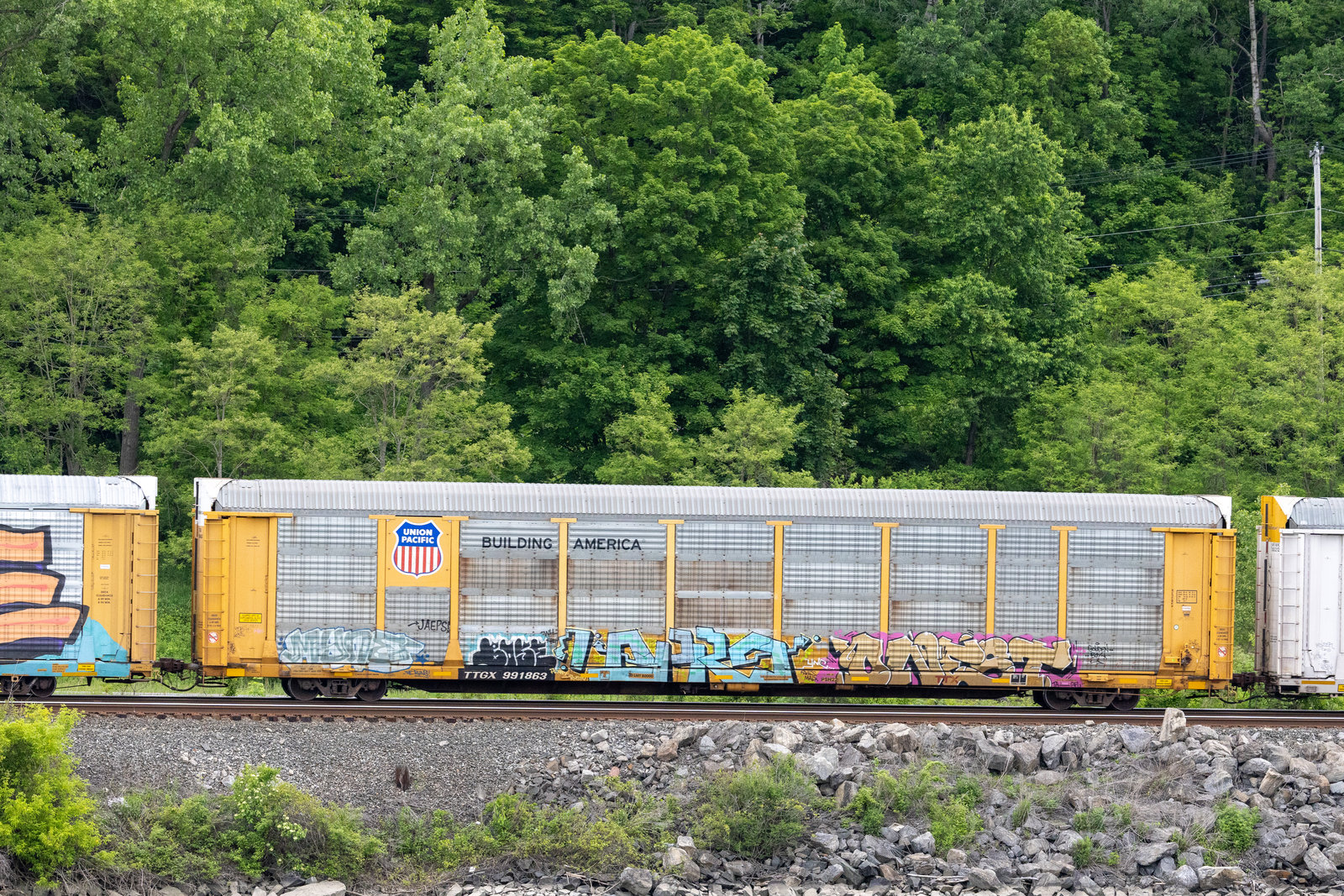 TTGX 991863
