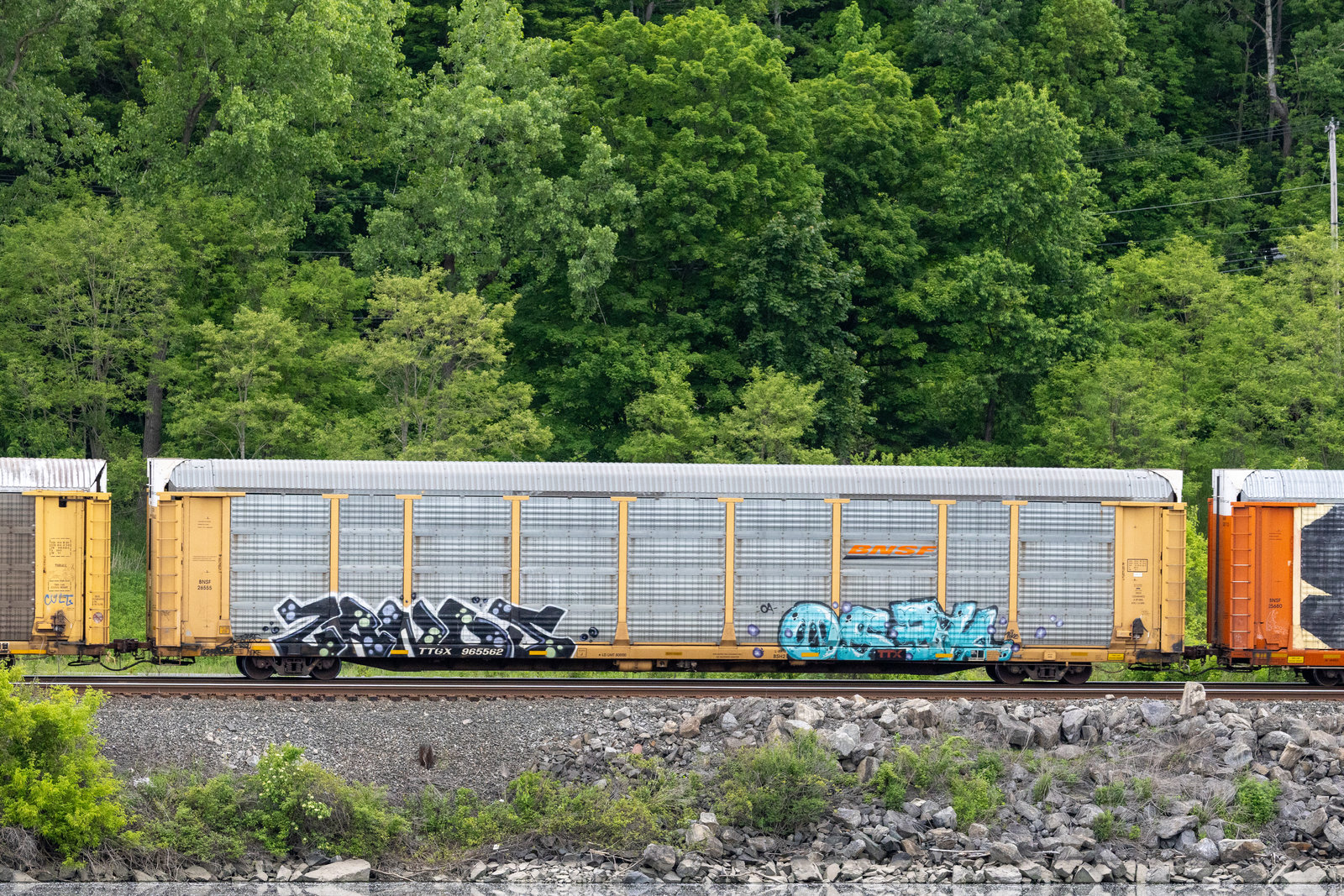 TTGX 965562